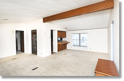 9 Shady Lane 4